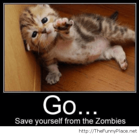 Funny-zombie-messages-with-a-kitty