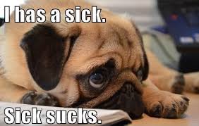 I has a sick