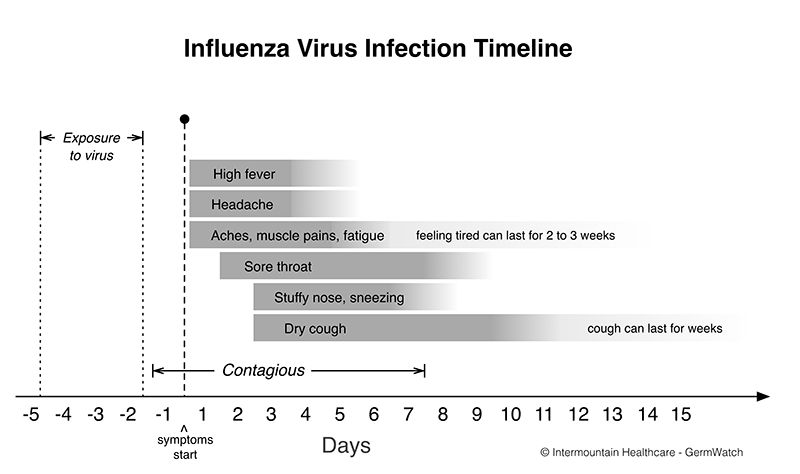 timeline-influenza-800px