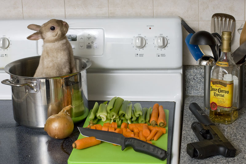 bunny in a pot