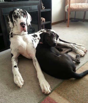 Pics from my phone 2 001