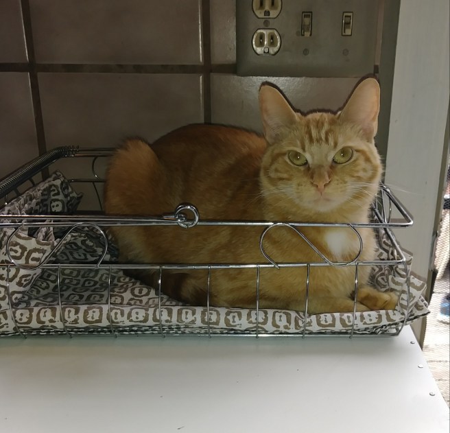 This image has an empty alt attribute; its file name is 20180927_101440-1.jpg