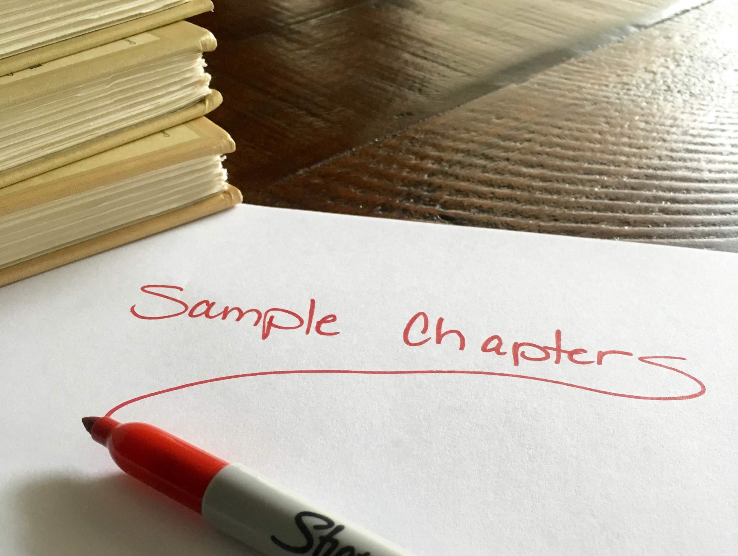 Sample Chapters in a Proposal — Christopher Ferebee