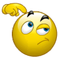 southern orders: WHAT DO YOU THINK OF THE HOLY FATHER'S SUGGESTION TO YOUTH?